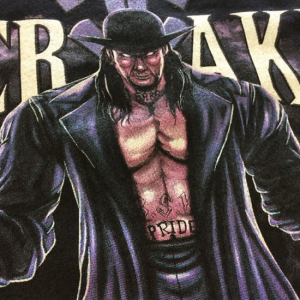 undertaker 300x300 - undertaker